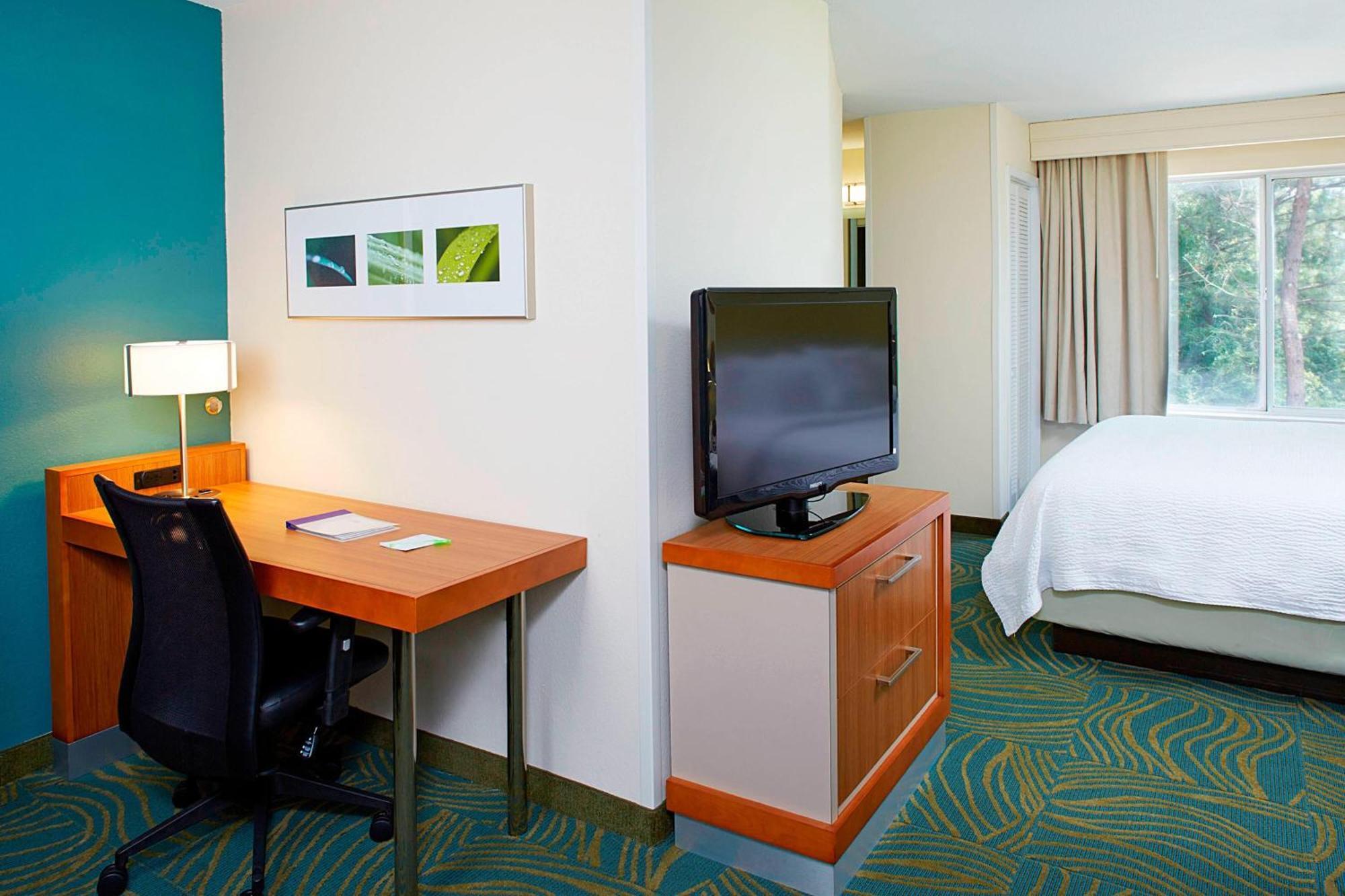 Springhill Suites By Marriott Atlanta Six Flags Lithia Springs Esterno foto