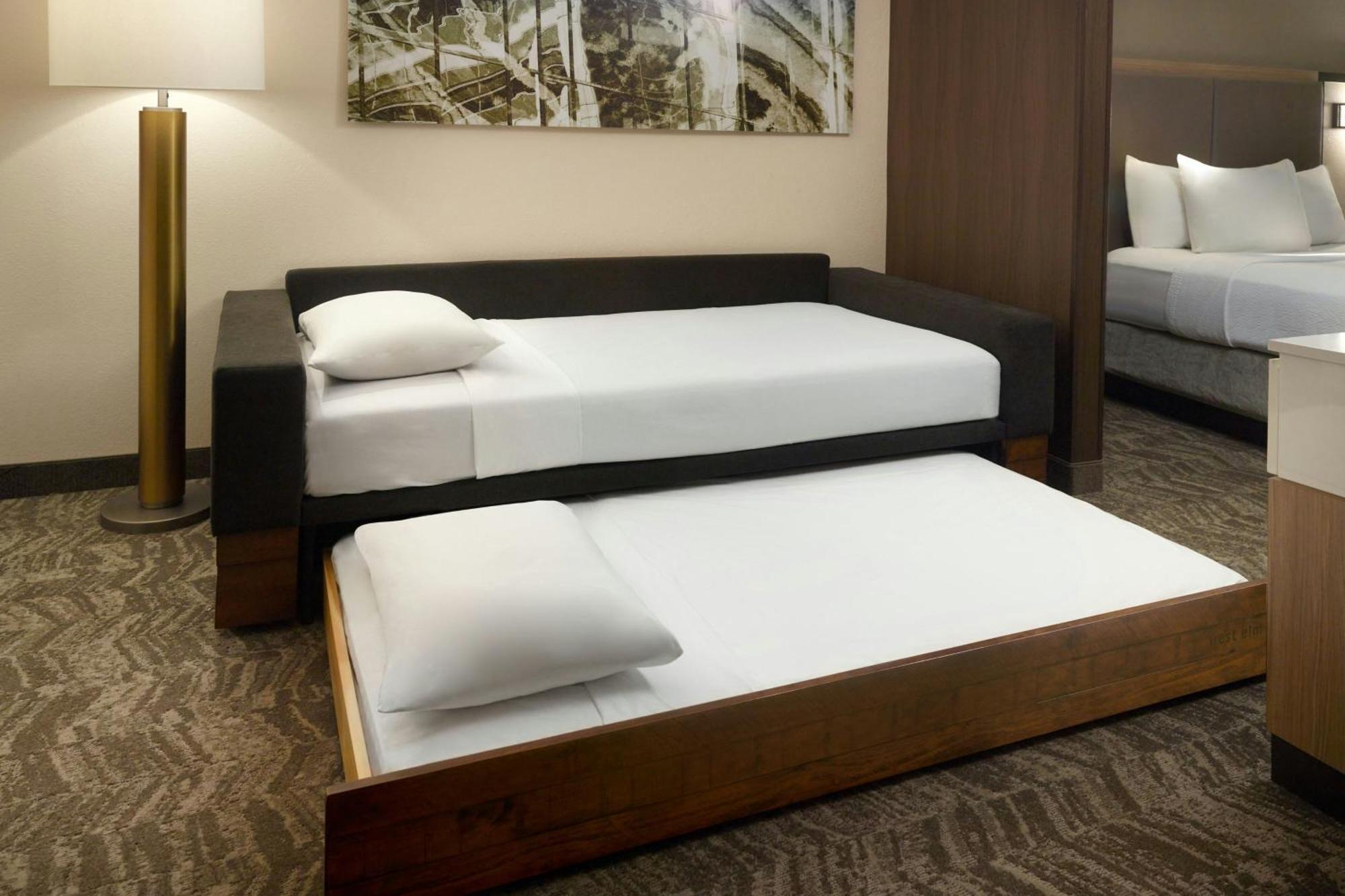 Springhill Suites By Marriott Atlanta Six Flags Lithia Springs Esterno foto